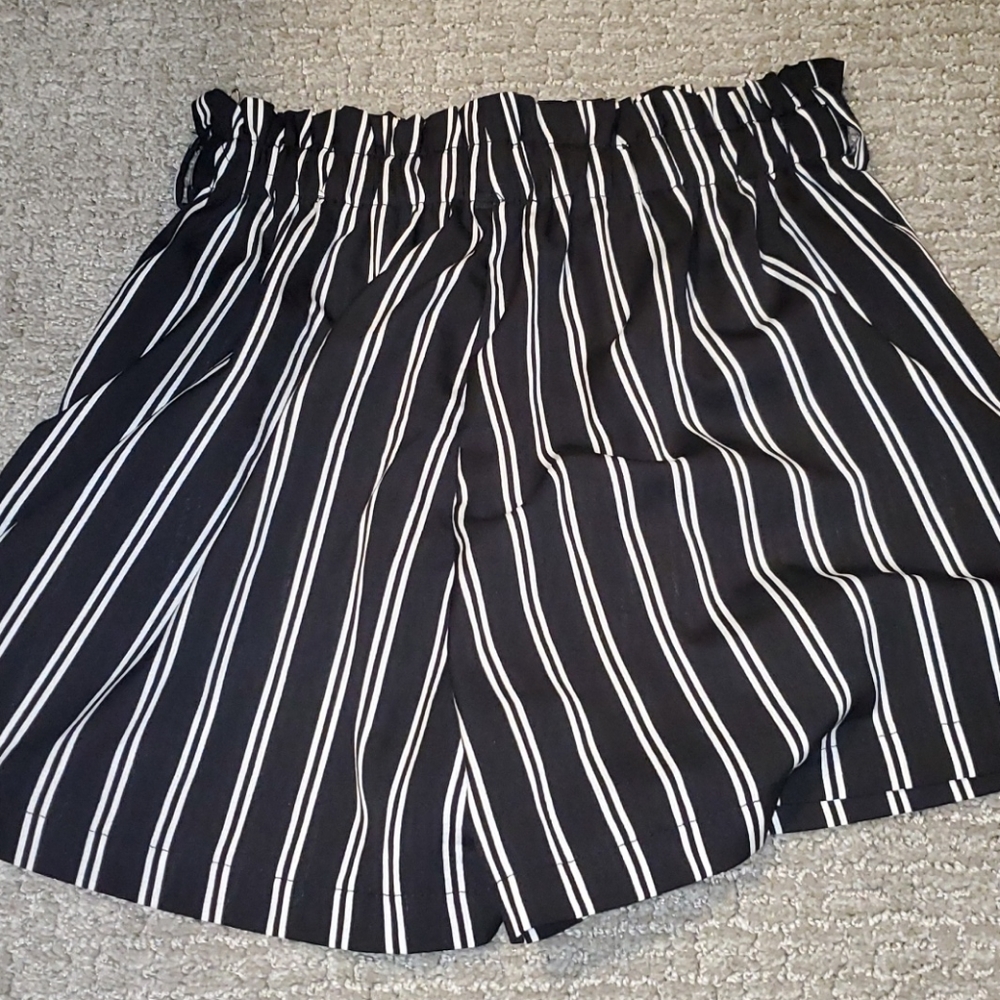 3/15 Shorts